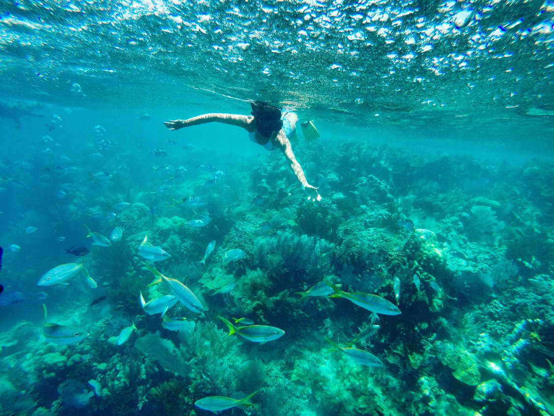 Snorkeling in Paradise Island