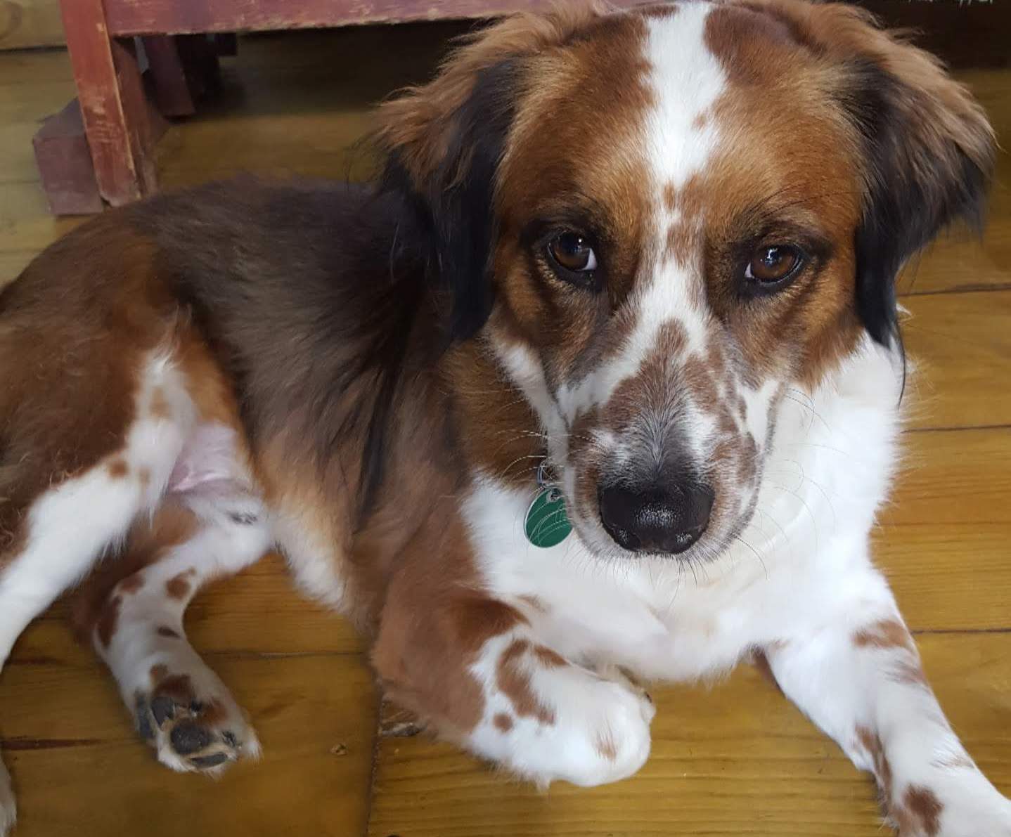 img_20190105_134725_590