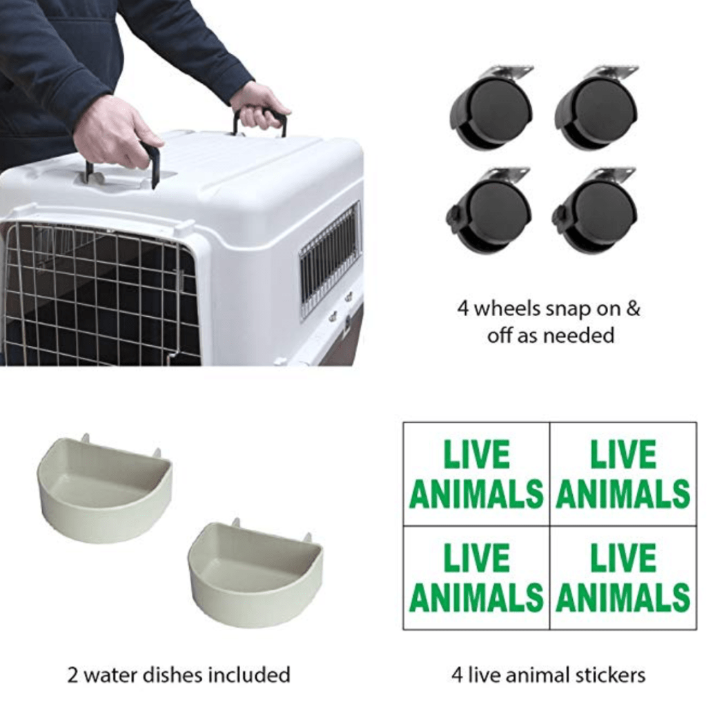 Screen Shot 2019-01-10 at 5.53.29 PM.png