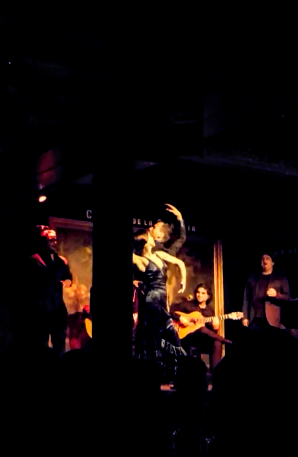 Flamenco show in Seville