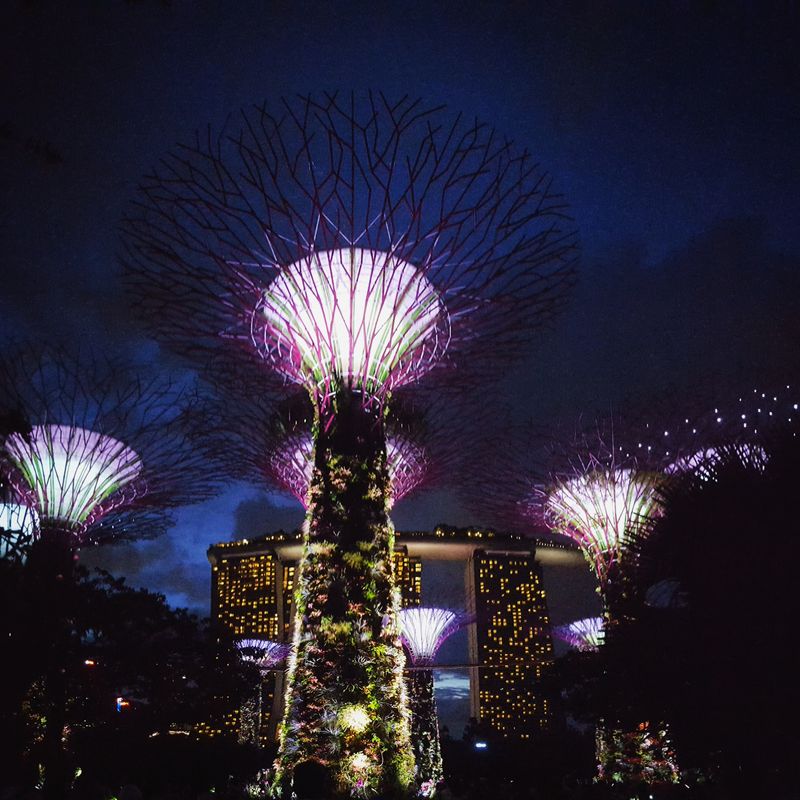 Gardens of the Bay and Marina Bay Sands Hotel  in Singapore