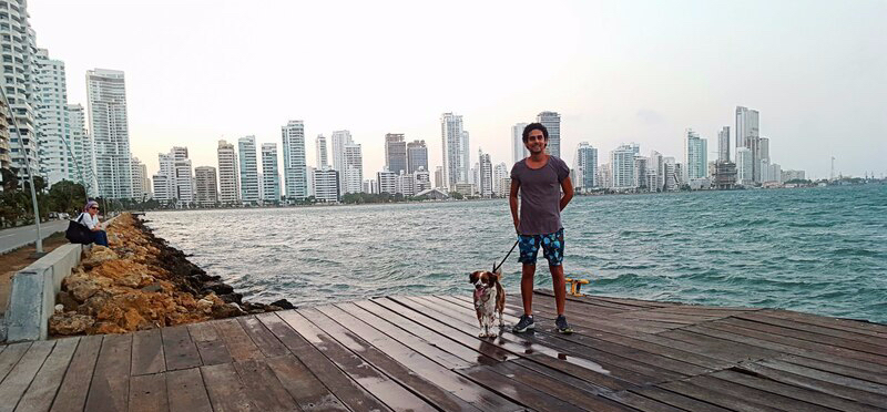 Man with dog along the water in Bocagrande, Cartagena.